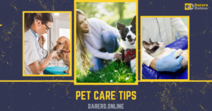 Read more about the article PET CARE TIPS-10 Things You Can Do to Keep Your Pet Healthier