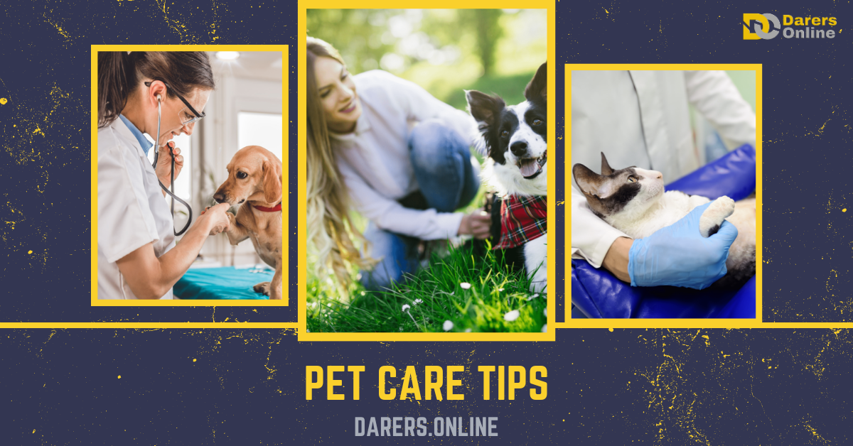 Read more about the article PET CARE TIPS-10 Things You Can Do to Keep Your Pet Healthier