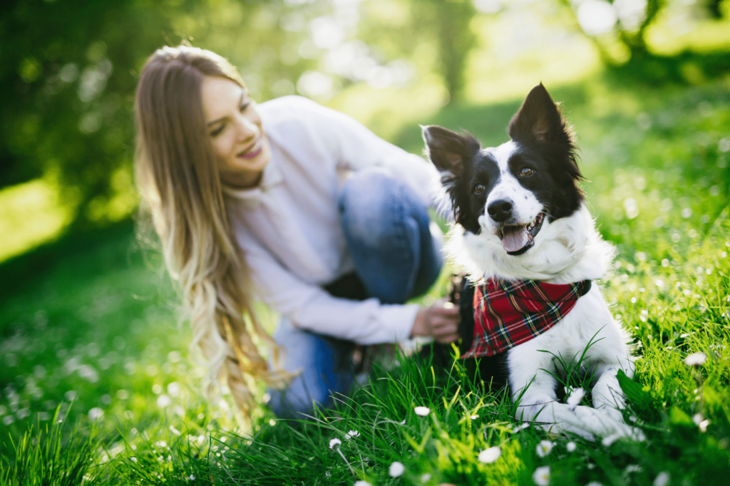 healthy-pets