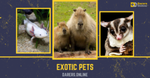 Read more about the article EXOTIC PETS-Top 10 Exotic Pets For Enthusiasts That’ll Make a Roar