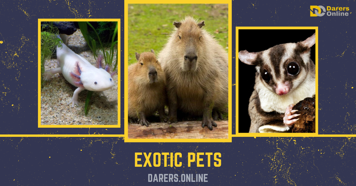 You are currently viewing EXOTIC PETS-Top 10 Exotic Pets For Enthusiasts That’ll Make a Roar