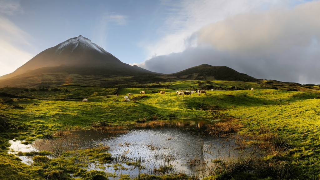 Volcano, Pico Island, Azores, Portugal